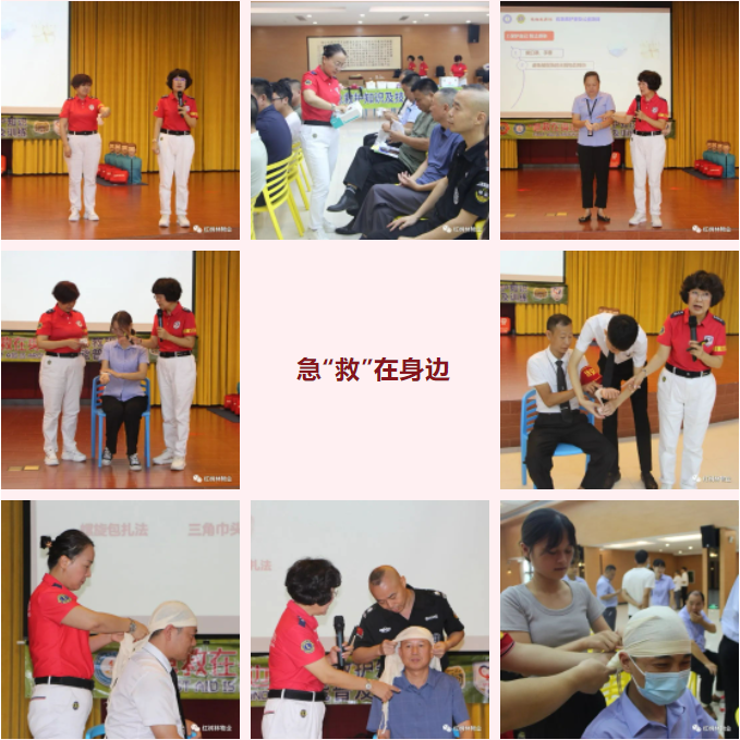急“救”在身邊 | 紅樹林物業(yè)急救技能培訓圓滿結束