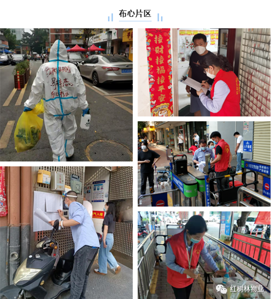 紅樹(shù)林物業(yè)|萬(wàn)眾一心 守護(hù)家園防線