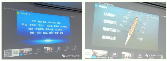 紅樹林物業(yè) | 2022年上半年工作總結(jié)及未來展望