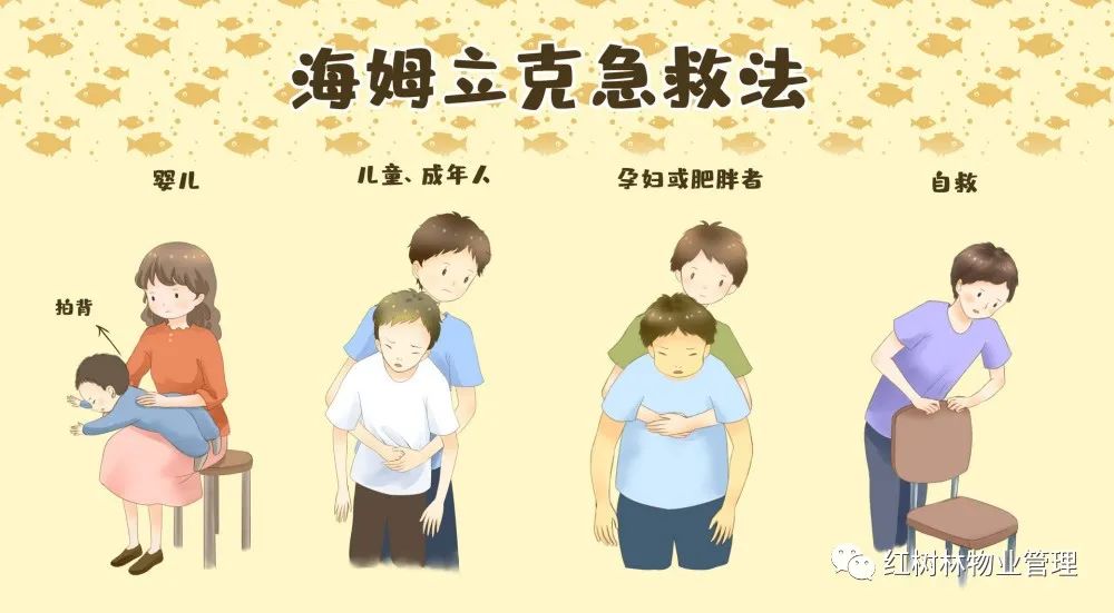 紅樹林物業(yè) | “ 心肺復蘇術及海姆立克急救法 ” 培訓