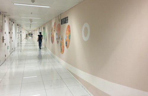 紅樹林物業(yè)組織開展深圳機場航區(qū)服務品質管理交流學習活動